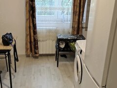 Baicului, Colentina, Pantelimon, sector 2